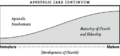 Apostolic Care Continuum.png